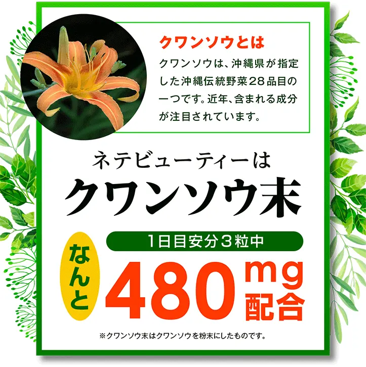クワンソウとは　クワンソウは、沖縄県が指定した沖縄伝統野菜28品目の一つです。近年、含まれる成分が注目されています。　ネテビューティーはクワンソウ末1日目安分3粒中なんと480mg配合